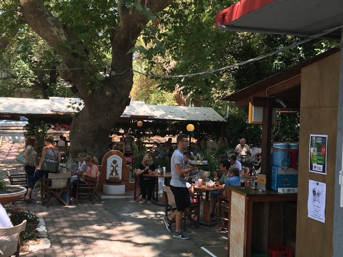 Garden All Day Cafe & Lounge Bar